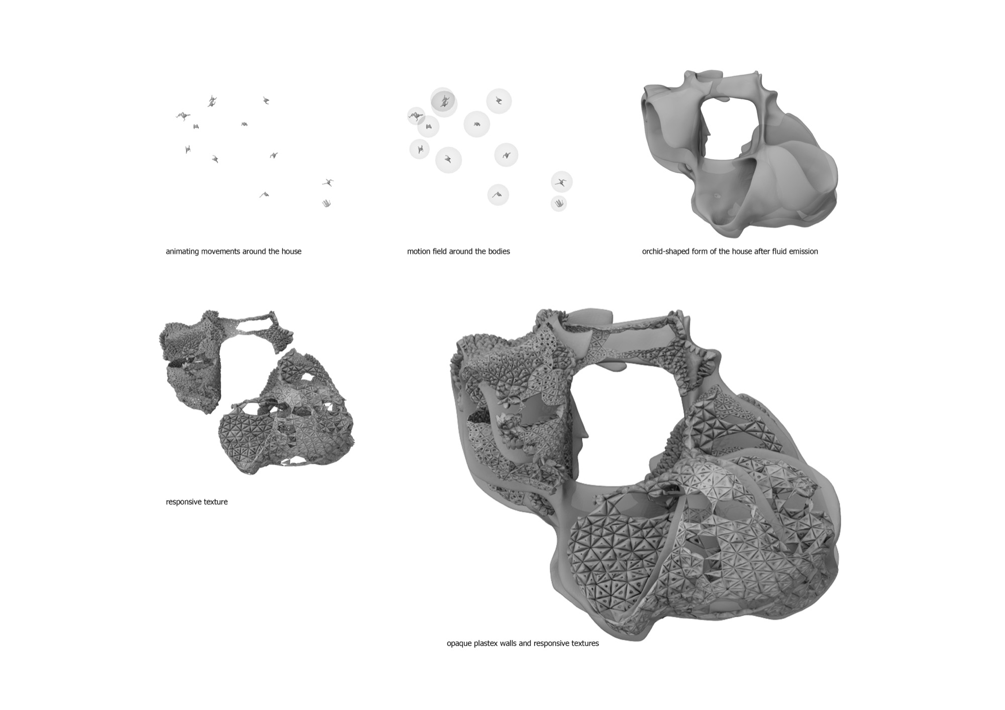 99 Stellaista — additional image