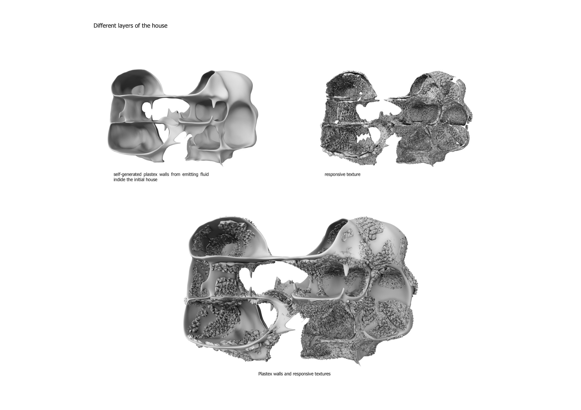 99 Stellaista — additional image