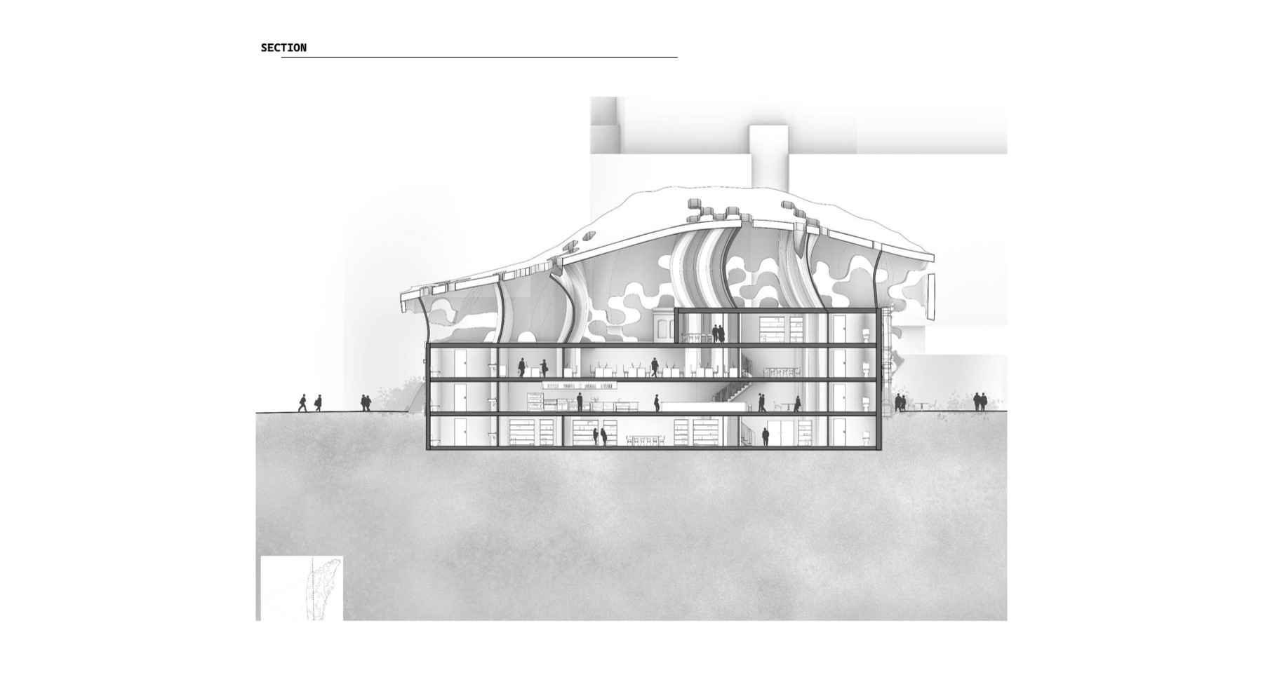 Section drawing of the skating pavilion's organic timber roof structure